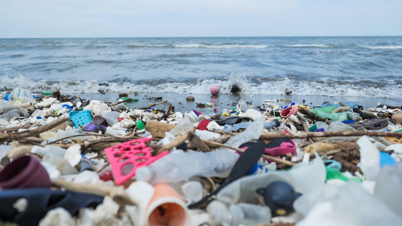 كيف يؤثر التلوث البلاستيكي على حياتنا: