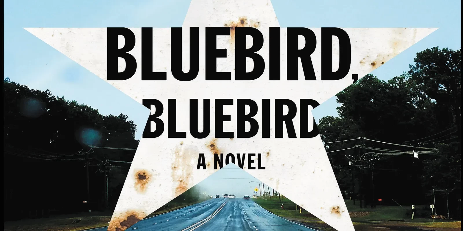 رواية "الطائر الأزرق" لـ "أتيكا لوك" 