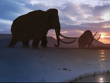 هل يستطيع العلماء "إعادة إحياء" فيلة الماموث بعد انقراضها؟