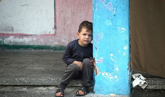 أتوا بعرّافةٍ لتقرأ مستقبل غزّة