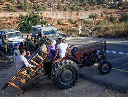 الاحتلال يمنع الفلسطينيين من قطف الزيتون بمحافظة نابلس