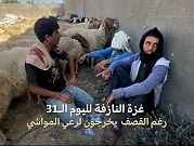 غزة | وتستمر الحياة.. يتنقلون لرعي مواشيهم