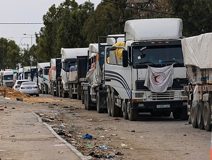 دخول 248 شاحنة مساعدات إنسانية إلى قطاع غزة