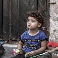 بعد الحرب على غزة - ما المصير؟