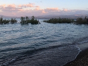 ارتفاع منسوب المياه في بحيرة طبرية بـ3.5 سم إثر هطول الأمطار الغزيرة