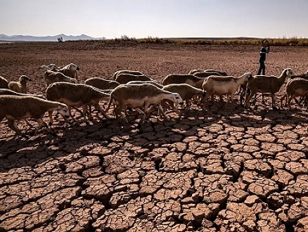 جفاف "عنيف" يفتك بالموسم الزراعيّ في المغرب ومخاطر تتعلّق بشحّ مياه الشرب