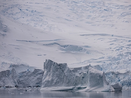دراسة: أنتاركتيكا تخسر رقعة جليديّة تعادل مساحة تركيا