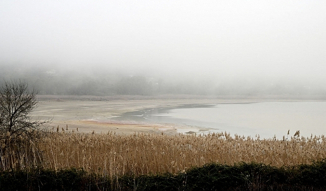 بسبب موجات الجفاف: مأساة زراعيّة تصيب جزيرة صقلية الإيطاليّة