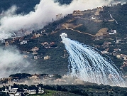 لبنان: القصف الفسفوريّ الإسرائيليّ أحرق 60 ألف شجرة زيتون معمّرة