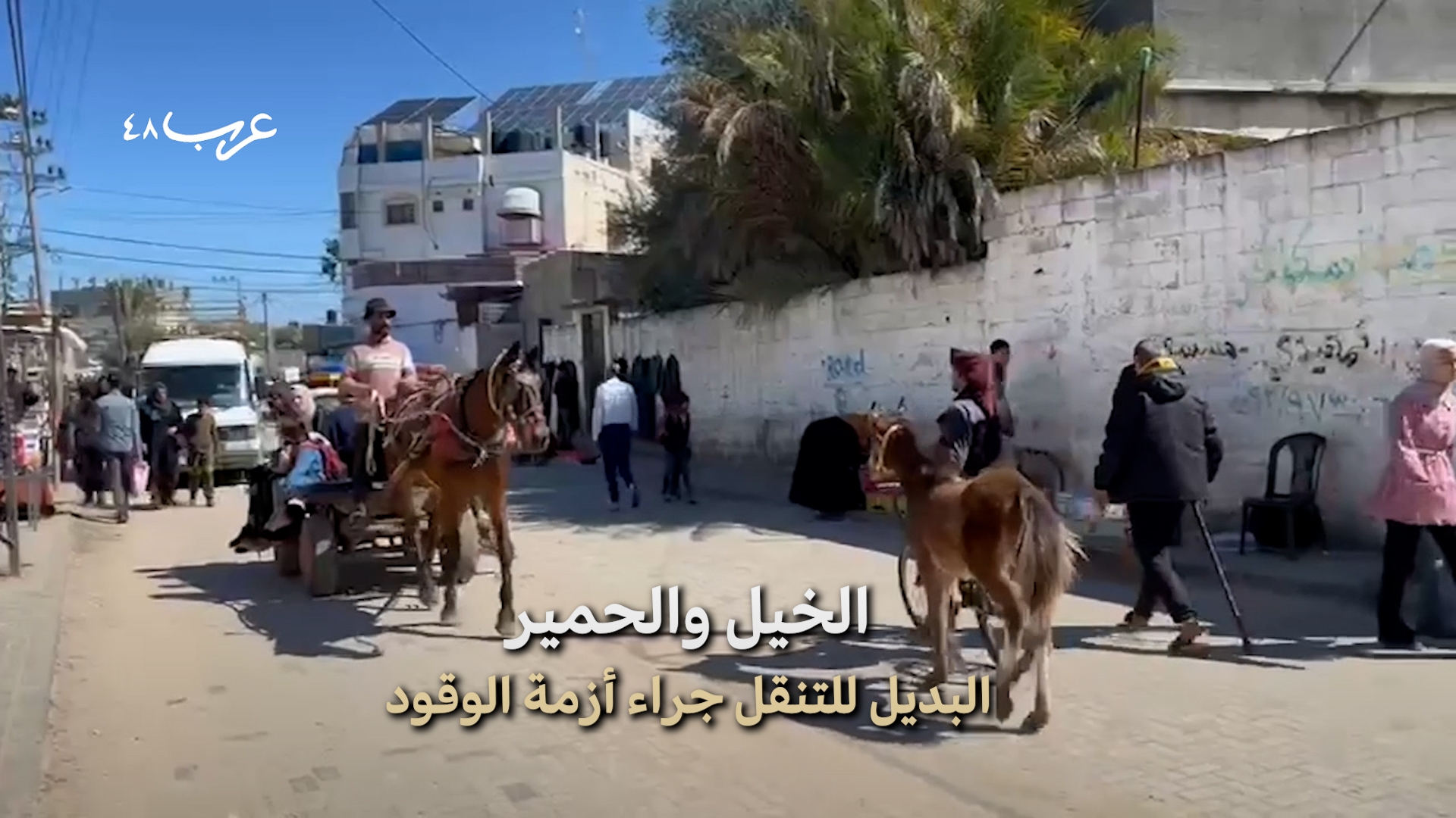 غزة | حضور "عربة الكارو" إثر غياب الوقود