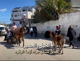 غزة | حضور "عربة الكارو" إثر غياب الوقود