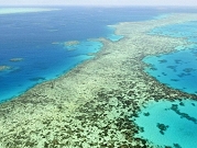 أستراليا: الحاجز المرجانيّ العظيم يشهد أسوأ موجة ابيضاض