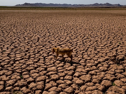 المغرب: سنفقد 20٪ من المساحات المزروعة جراء الجفاف