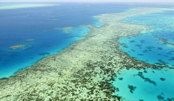 أستراليا: الحاجز المرجانيّ العظيم يشهد أسوأ موجة ابيضاض