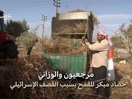 جنوب لبنان | موسم القمح؛ حصاد مبكر تحت القصف