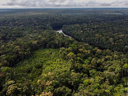 كولومبيا تنجح في تخفيض نسبة الغابات المُزالة