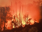 كاليفورنيا: حريق غابات يجبر الآلاف على مغادرة منازلهم