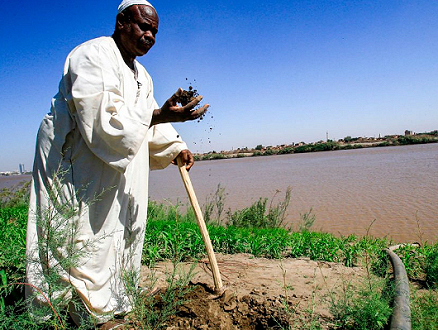 الحرب تلقي بظلالها على موسم الحصاد في السودان