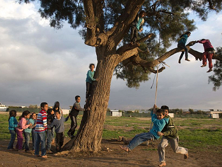 حالة الطقس: جو مشمس إلى غائم ودافئ ومعتدل