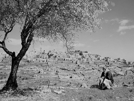 77 عاما على قرار التقسيم: من حركة العصيان العبري 1945 حتى بعد لجنة "موريسون- چريدي" 1946 (32/7)